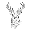 Modern deer design
