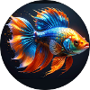 Goldfisch,bunt,pailletten,glitzer,Fisch