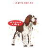 English Springer Spaniel Gift