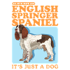 English Springer Spaniel Gifts