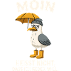 Seagull Moin