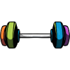 Dumbbell Gym Training Fitness Gym