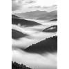 Whispers in the Mist