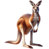 Kangaroo