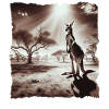 Känguru Kangaroo