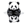 Panda with water reflection
