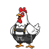 Chicken madness !