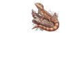 Skinke Skink