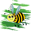 Insect