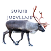 Buriid Juovllaid