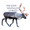 Felisem Natalem Christi