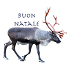 Buon Natale