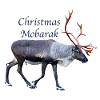 Noël Mobarak