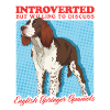 English Springer Spaniel Gift