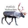 Fröhliche Weihnachten
