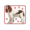 English Springer Spaniel Geschenke