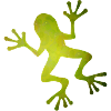 Green frog silhouette in tropical look