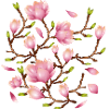 Exotic Magnolia Flowers Illustration