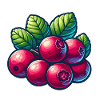 Cranberry Beeren