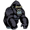 Gorilla