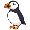 Papageientaucher Puffin