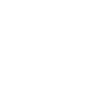 100 % Schwabe