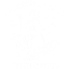 Surfeur Skeleton