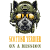 Scottish Terrier on Mission - Military