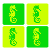 Seahorse Sea Design