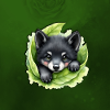 Wolf puppy on the green