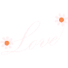 Blumenliebe Skript Design