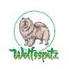 Wolfsspitz nicht single Deutscher Wolfsspitz
