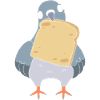 Pigeon Race Pigeon Pigeons