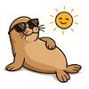 Seal Sunglasses