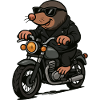Mole Motorcycle