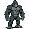 gorilla