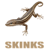 Scinque Skinke