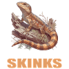 Skinke Skink