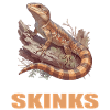 Skinke Skink