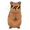 Quokka Kurzschwanzkängurus Geschenke
