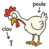 hen finding a nail