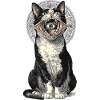Mystical cat nightmare with an eye