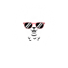 Llama with sunglasses and saying