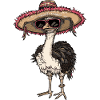 Ostrich Comic Funny Sombrero