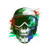 Ski Skull Ski Goggles