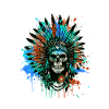 Indian Chief Skull