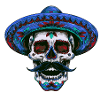 Sombrero Crâne Mexicain