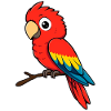 Parrot Red Macaw