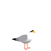 Moin Ihr Dösbaddels