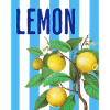 Lemon - Zitrone